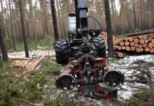 Szkolenie – maszynowe pozyskanie drewna